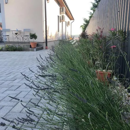 Pensjonat Merula Park