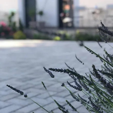 Guest house Merula Park Eger